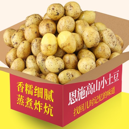 新鲜当季恩施小土豆儿时味道