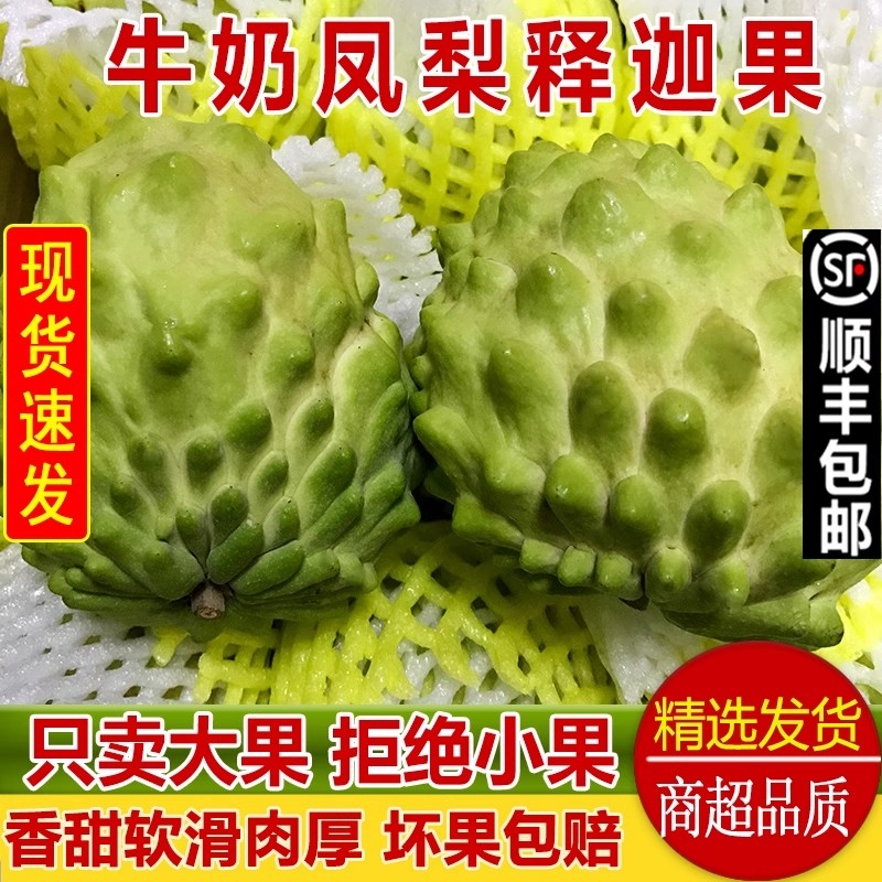 现货 牛奶凤梨释迦果新鲜番荔枝佛头果水果大果孕妇顺丰礼盒