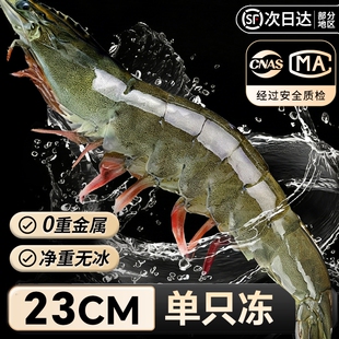 大虾鲜活速冻青岛超特大海虾基围虾冷冻青虾盐冻对虾2030海鲜水产