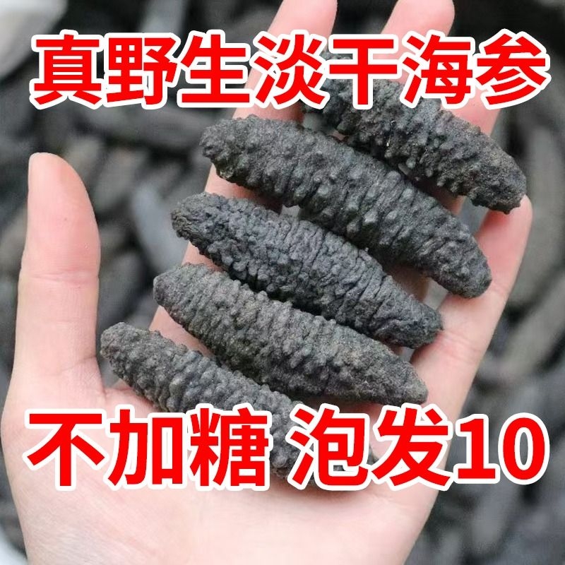 野生天然海参干货淡干海参野生肉厚水产刺参米刺雪参非辽刺