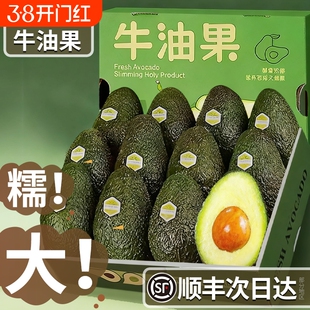 顺丰云南孟连哈斯牛油果新鲜水果大果15个当季即食一级鳄梨糯国产
