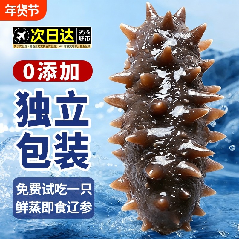 大连海参即食独立包装袋辽参刺参海渗鲜活淡干海鲜礼盒官方旗舰店