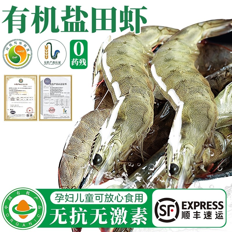 真有机无抗盐田大虾盐冻白虾活冻虾礼盒装宝宝辅食新鲜冷冻2斤装