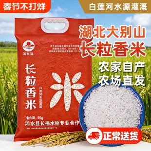 大米新米稻香米湖北浠水农家稻田谷物虾田米荷花米南长粒香米真空