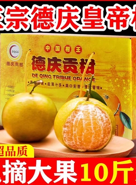 正宗德庆皇帝柑新鲜大果贡柑广东桔橘子水果礼盒装现摘包邮薄皮橘