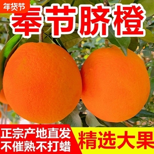 正宗重庆奉节脐橙纽荷尔大果10斤橙子当季新鲜水果甜橙整箱包邮