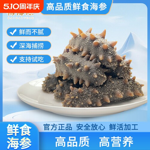 大连鲜食海参500g滋补深海新鲜正宗辽刺参开袋水产冷冻锁鲜鲜活