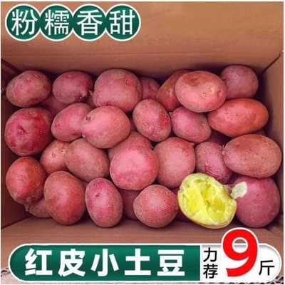 云南红皮黄心土豆新鲜小土豆
