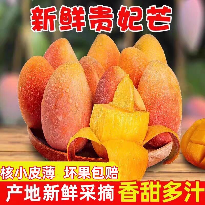 现摘海南贵妃芒树上熟三亚芒果特产当季新鲜水果特大果辣椒芒