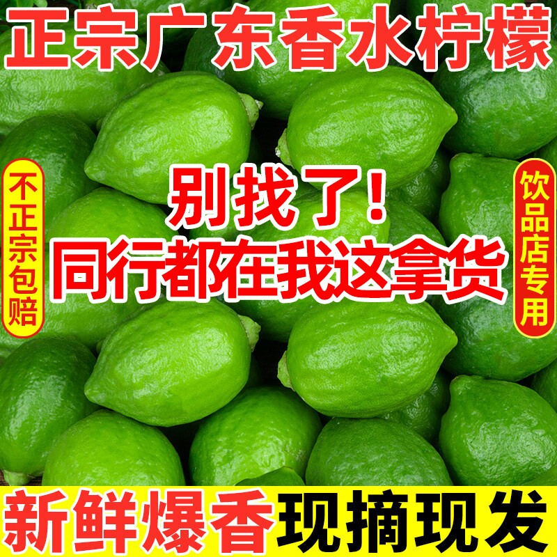 广东香水柠檬青柠檬新鲜正宗无籽一级果水果奶茶店专用手打香柠檬