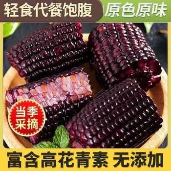 东北黑糯玉米甜糯玉米现摘免煮真空装低脂代餐辅食实付13元到手包邮 东北黑糯玉米甜糯玉米现摘免煮真空装低脂代餐辅食实付13元到手包邮