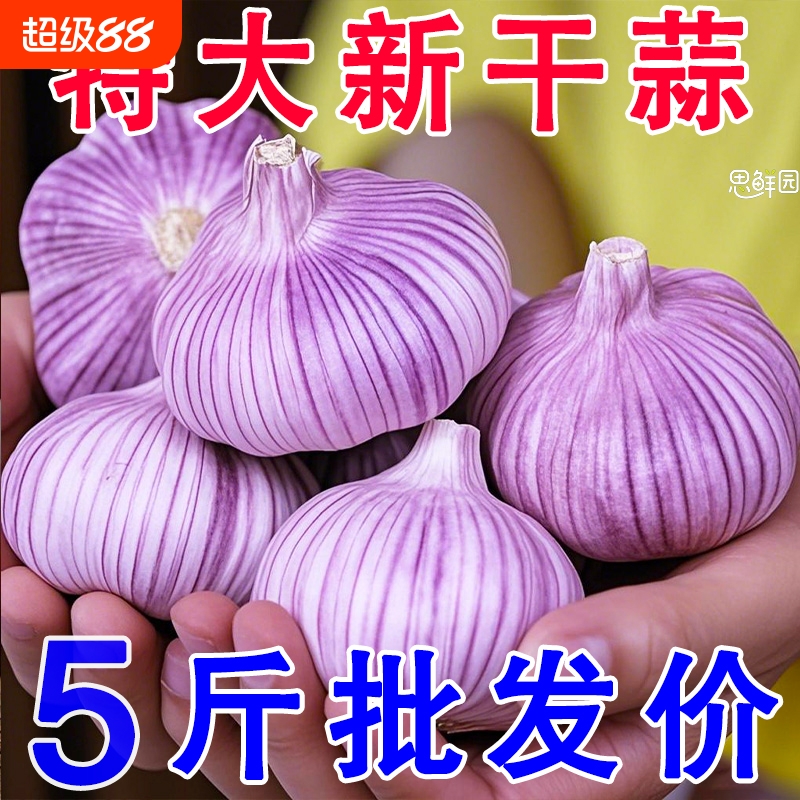 2025年正宗金乡新干蒜头新鲜大蒜紫皮蒜干蒜红皮蒜大头蒜十足干