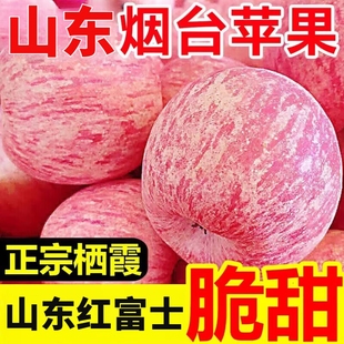 山东烟台红富士苹果栖霞洪富士应季 孕妇水果新鲜红富士冰糖心苹果