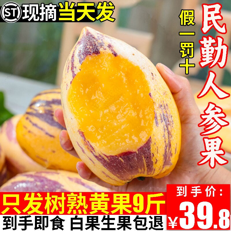 甘肃民勤沙漠人参果新鲜水果树上熟当季黄果肉人心果10斤整箱特大