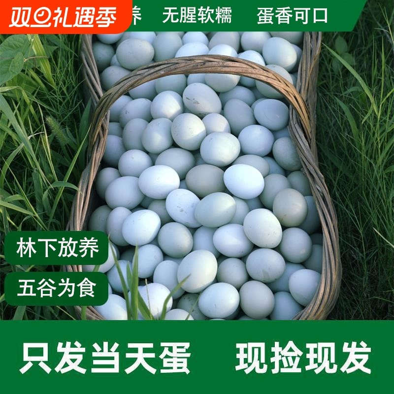 新鲜绿壳乌鸡蛋农家散养土鸡蛋笨鸡蛋天然绿壳蛋包邮山林谷物