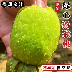 陕西周至徐香猕猴桃奇异应季水果新鲜礼盒装正宗包邮整箱装绿心