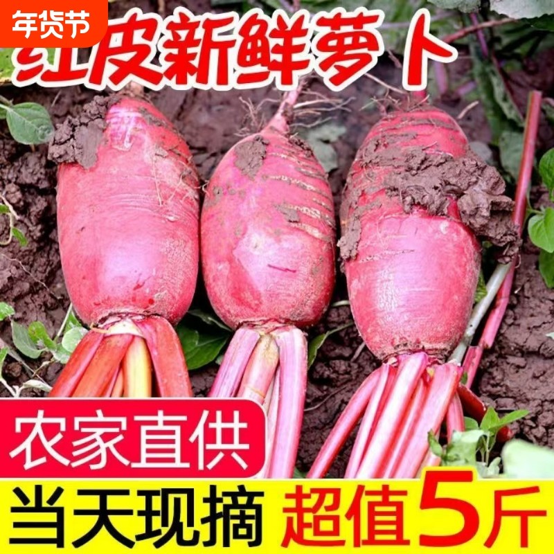 特产红皮白心萝卜泡菜专用现挖现发白肉新鲜蔬菜自种,水产肉类/新鲜蔬果/熟食,萝卜/胡萝卜,淘宝优惠券,粉丝福利购,淘宝优惠卷