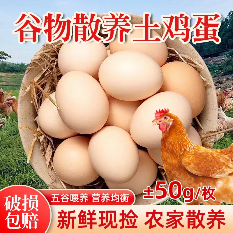 散养土鸡蛋±50g大别山虫草柴鸡蛋无抗宝宝孕妇谷物鲜蛋新鲜盒装