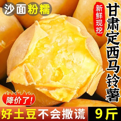 甘肃定西沙面土豆新鲜马铃薯农家洋芋批发5/9斤洋芋大果粉糯