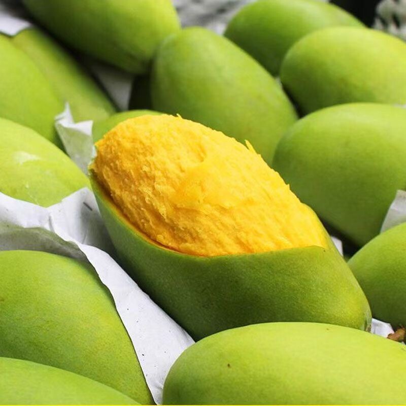 新鲜水果青芒玉芒青皮芒果热带水果当季新鲜现摘皮薄肉厚批发价