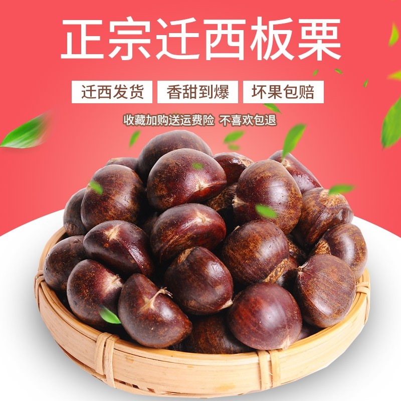 2025新货正宗迁西板栗生新鲜栗子生鲜迁西生栗子大油栗小唐山板粟