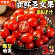 新鲜圣女果小番茄应当季水果现摘酸甜生吃西红柿番茄蔬菜包邮