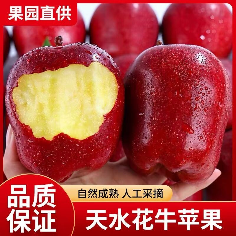 新鲜天水花牛苹果粉面香甜爆甜富士婴儿刮泥辅食彩箱蛇果应季水果