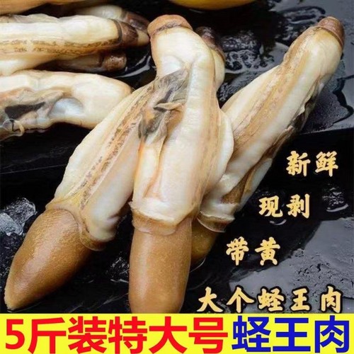 蛏子鲜活冷冻蛏王肉竹节蛏子王蛏子海鲜水产贝类新鲜海鲜水产生鲜