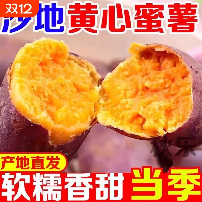 农家自种沙地蜜薯黄红心红薯番薯山芋糖心龙九红薯新鲜烤地瓜
