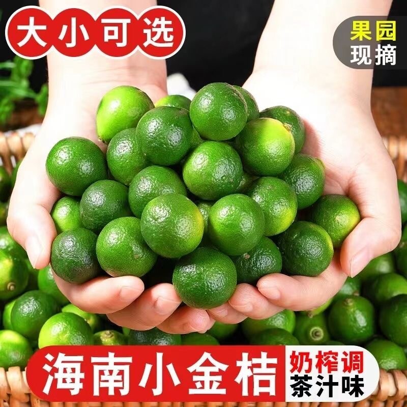 金桔柠檬小青桔海南小金桔青金桔柠檬汁橘子应季柠檬茶新鲜奶茶
