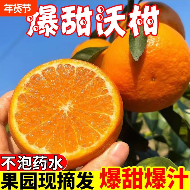 正宗云南超甜沃柑爱媛整箱新鲜桔子蜜橘当季孕妇水果非广西武鸣县,水产肉类/新鲜蔬果/熟食,桔子,淘宝优惠券,粉丝福利购,淘宝优惠卷