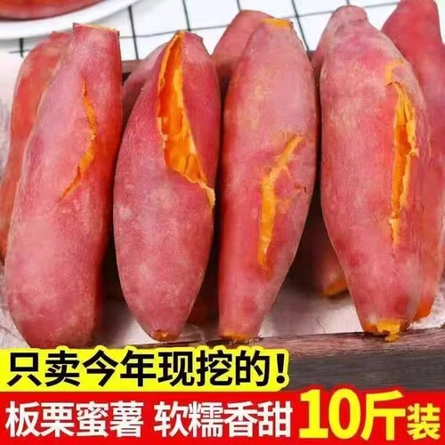 沙土地蜜薯10斤新鲜红薯农家自种红薯黄心超甜地瓜番薯黄心板栗薯