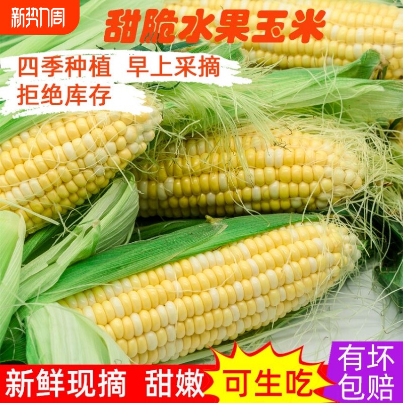 新鲜玉米现摘带皮甜玉米农家金银水果玉米棒子鲜嫩黄玉米9斤包邮