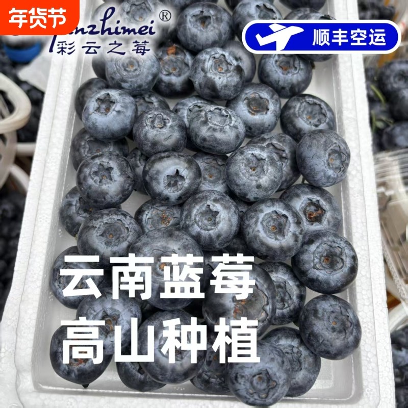 【顺丰空运】现摘云南脆甜花香蓝莓新鲜孕妇水果当季大果新鲜包邮,水产肉类/新鲜蔬果/熟食,蓝莓,淘宝优惠券,粉丝福利购,淘宝优惠卷