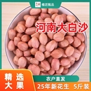 2025年新货新鲜大颗粒生花生米河南南阳大白沙5斤农产品新花生