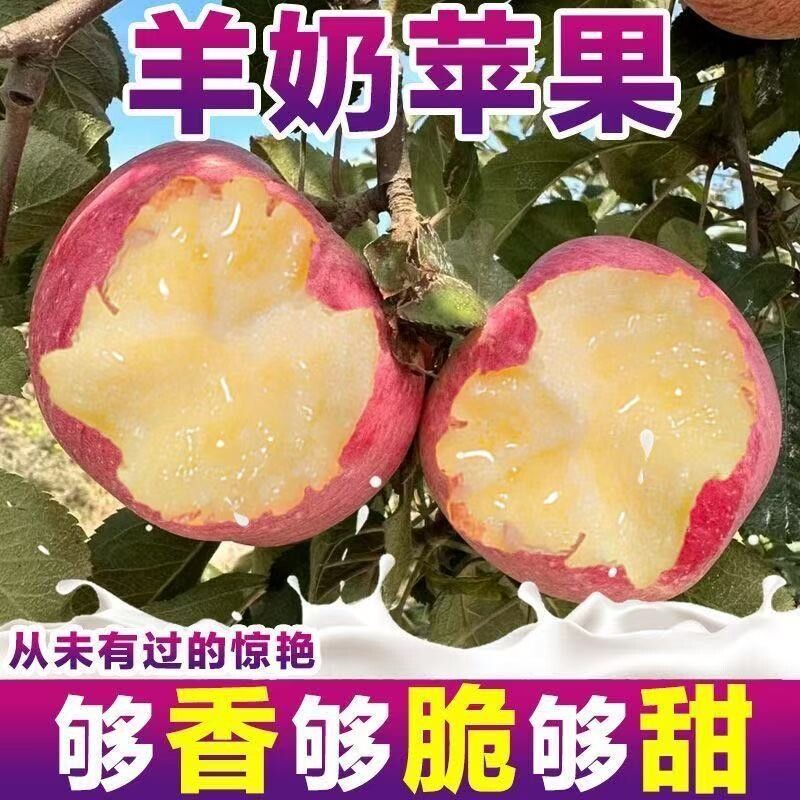【包脆包甜】正宗山西万荣羊奶苹果新鲜红富士应季水果香甜批发