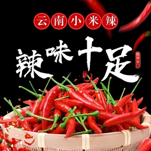 云南无添加新鲜小米辣 3斤囤货装 农户直选 鲜度翻倍耐储存