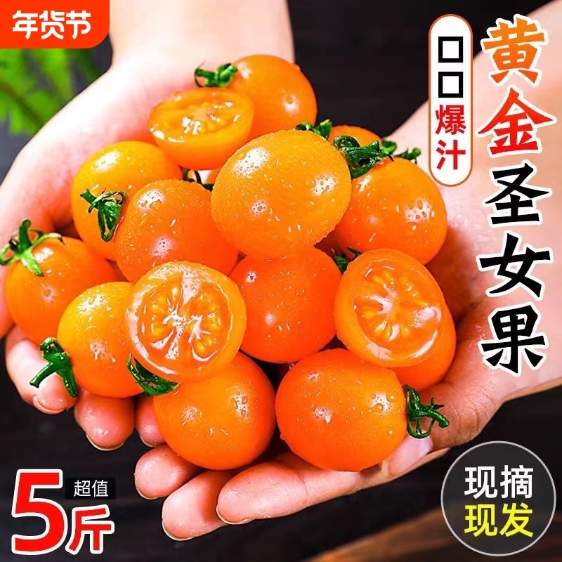 正宗广西黄色金圣女果樱桃小番茄新鲜水果小西红柿当季时令生鲜