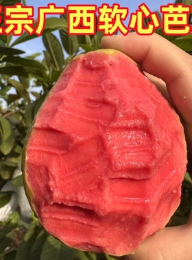 广西红心芭乐软糯双拼红白新鲜番石榴大果脆甜鸡屎果当季水果正宗