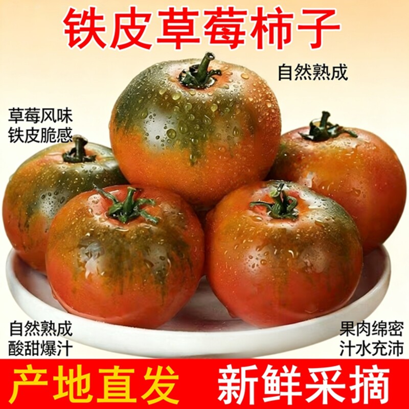 东北农家自种铁皮柿子生吃草莓柿子草莓西红柿新鲜当季水果番茄