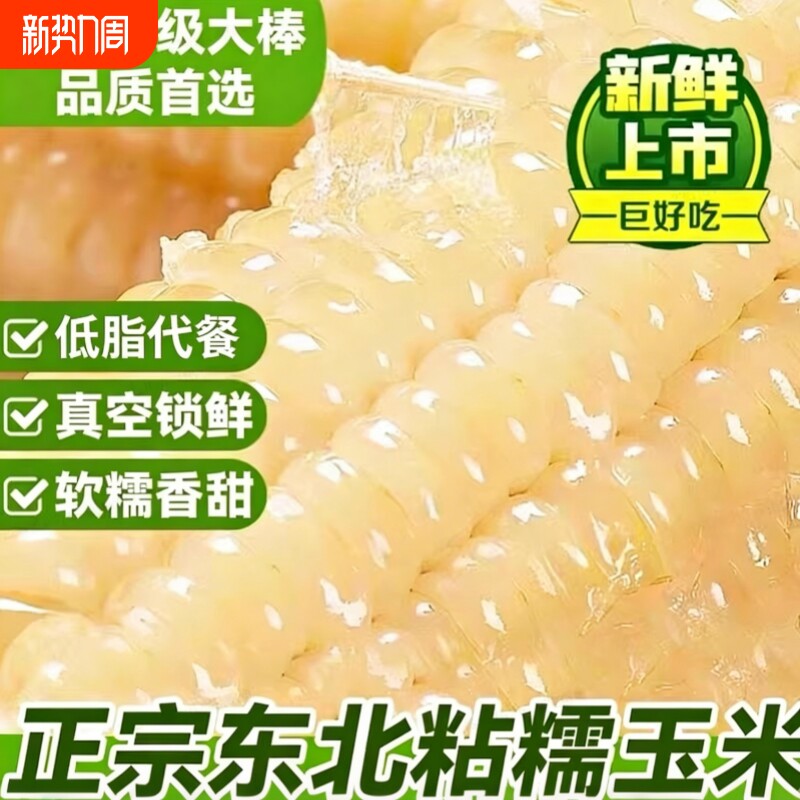 东北正宗头茬白糯玉米棒黏糯玉米新鲜采摘宿舍代餐早餐加热即食