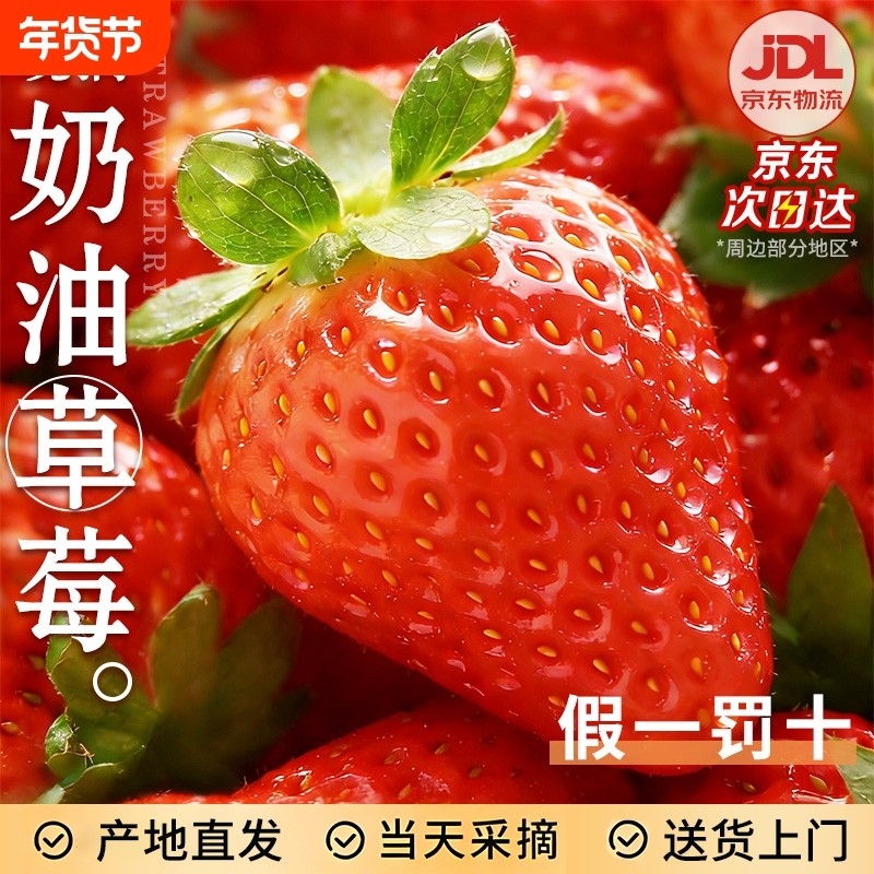 红颜奶油草莓正宗99丹东牛奶大奶油新鲜水果礼盒当季整箱包邮京东,水产肉类/新鲜蔬果/熟食,草莓,淘宝优惠券,粉丝福利购,淘宝优惠卷
