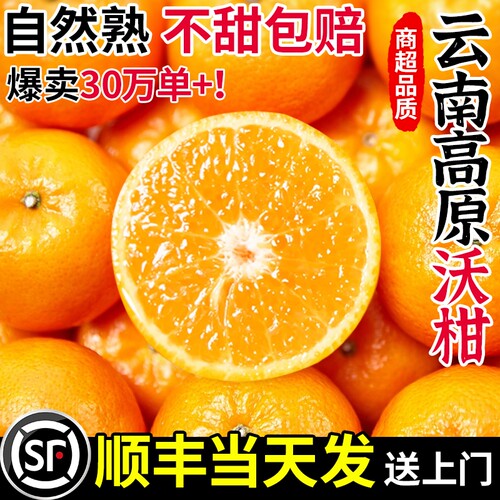 云南高山沃柑新鲜当季整箱精选大果水果桔子橘子当季砂糖皇帝包邮