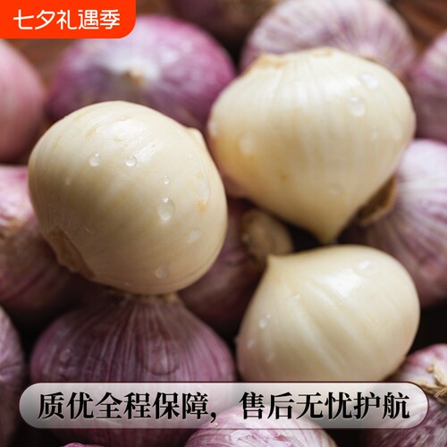 独头蒜5斤特大果|超7000次加购
