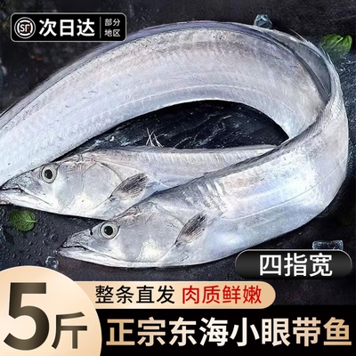 带鱼新鲜冷冻刀鱼特级海钓带非舟山东海整条小眼整箱10斤中段水产