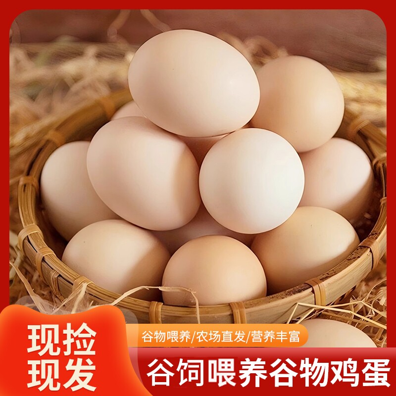 新鲜鸡蛋初生鲜鸡蛋农场饲喂谷物当日鲜蛋谷饲喂养