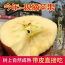 脆甜老人新鲜水果产地直发 正宗丑苹果山西临猗红富士应季 爆甜