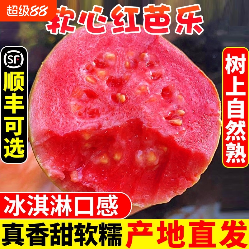 软糯红心芭乐5斤|超1000次加购