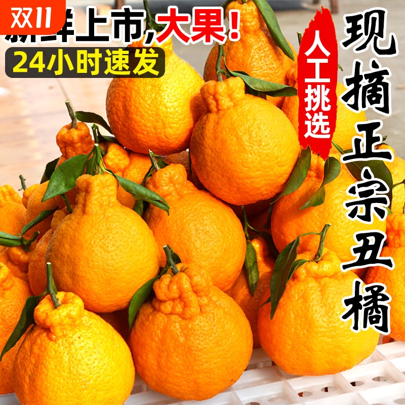 精选高山丑橘特甜整箱当季新鲜