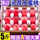 水果当季 正宗水蜜桃新鲜桃子大果应季 整箱孕妇爆甜撕皮软桃子现摘